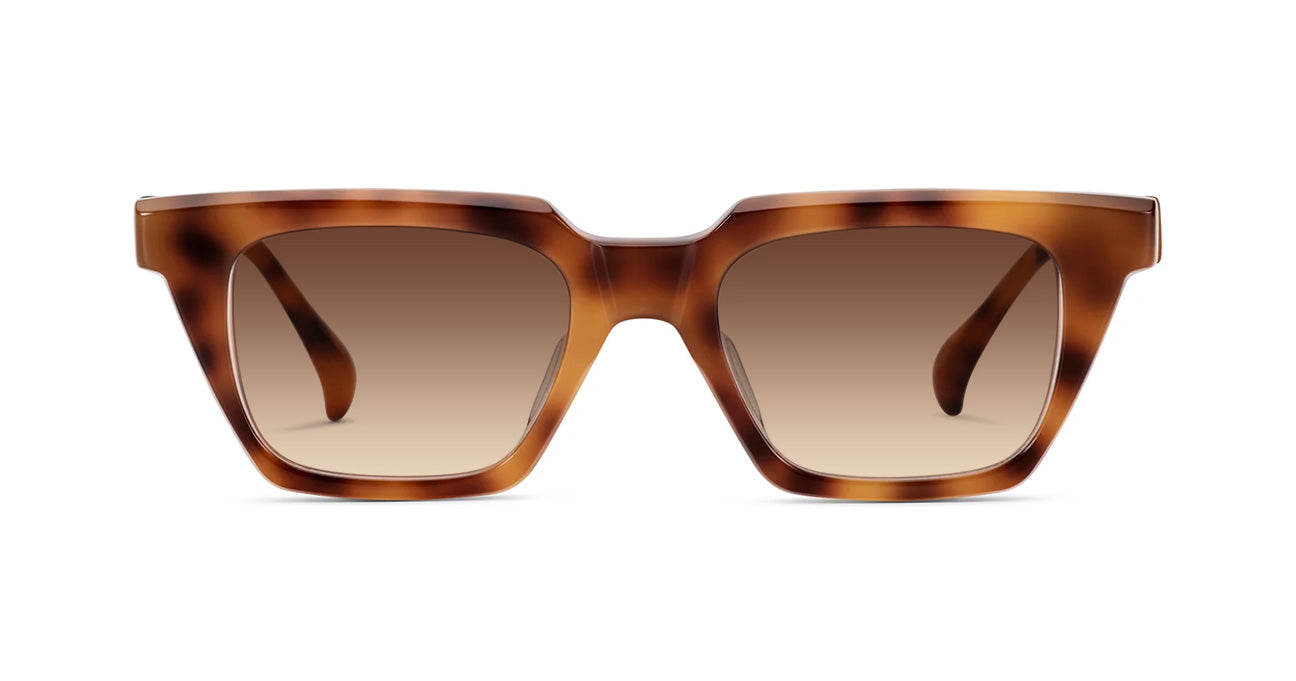 NEWTON-JOHN SUN Custom - AM Eyewear